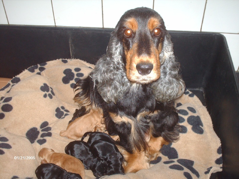 BB AXELLE