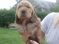 CHIOT